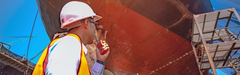 The Role of Technical Consultancy in Pre-Purchase Surveys